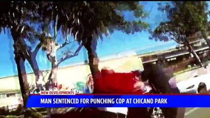 `He Destroyed My Face`: Man Sentenced for Punching San Diego Police Officer
