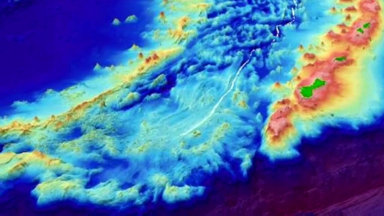 Wurde Megalodon Wirklich Im Marianengraben Gefunden?