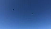 Démonstration des parachutistes