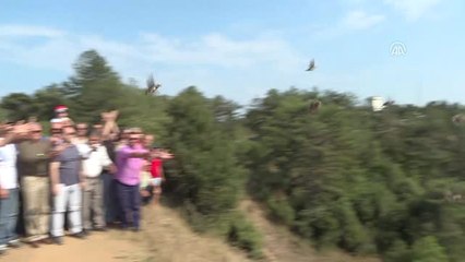 Avcılık Turizm Sektörü İçerisinde Önemli Bir Yere Sahiptir" - Bursa