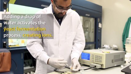 Un 'wearable' a base de levadura para medir la radiación en hospitales