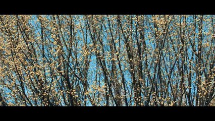 Jola i Kamil. Dzień, w którym wszystko się zmieniło