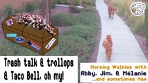 Trash talk & trollops & Taco Bell, oh my! -Walkies with Abby