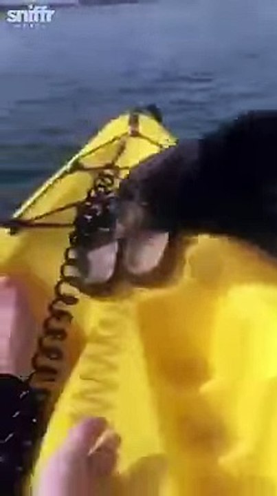 Excuse Me Now I'll lead The Boat