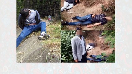 Anne babalar dikkat! Bonzai azaldı ama 'met' patladı