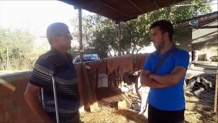 12 koçunu dolandırıcılara kaptırdı