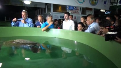Bakan Kurum Caretta Carettaları denizle buluşturdu