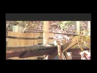 Food Tech. - Distilleries