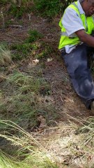 Concrete Truck Takes out Semi