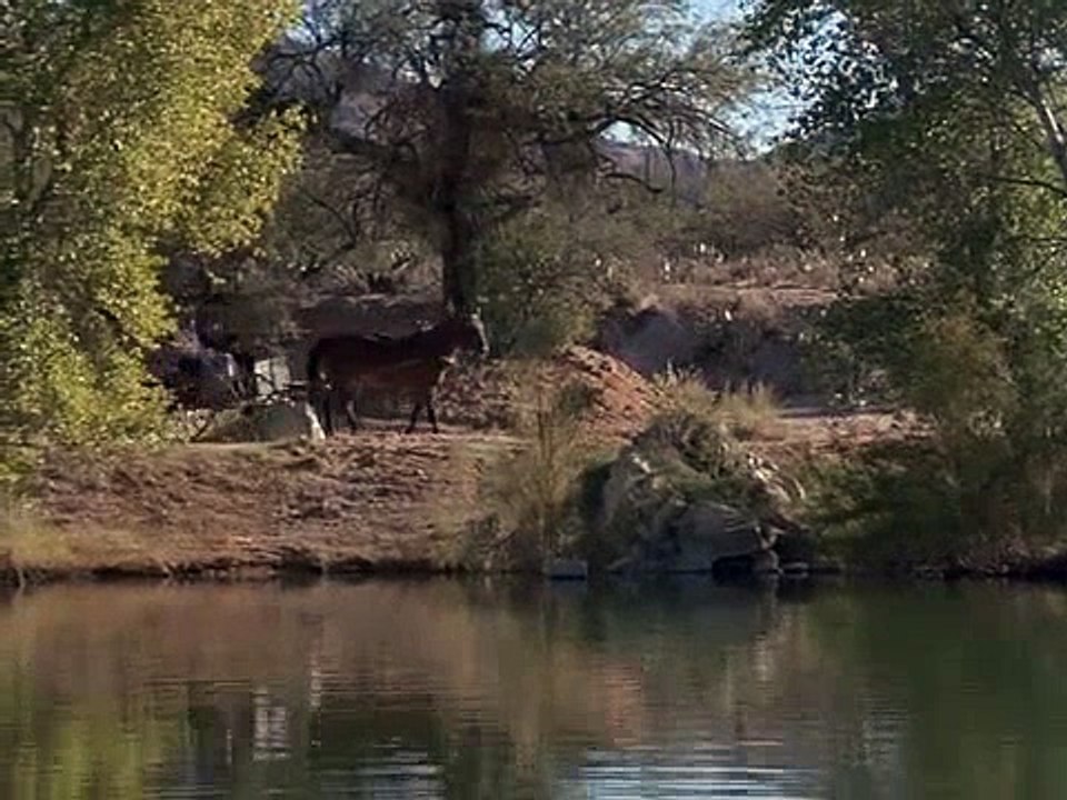 The Young Riders S01 E10