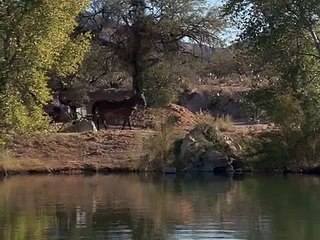 The Young Riders S01 E10