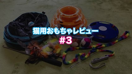 猫を夢中にさせるレーザーポインター【猫用おもちゃレビュー#3】