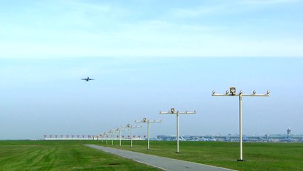 [영상] 푸른 창공으로 힘찬 날갯짓 / YTN