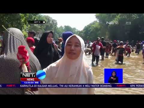 Panitia Tebar Ratusan Ekor Ikan - NET12