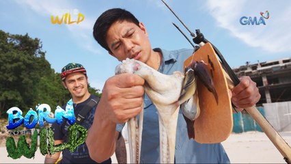 Born to Be Wild: What does Puka Beach look like now?