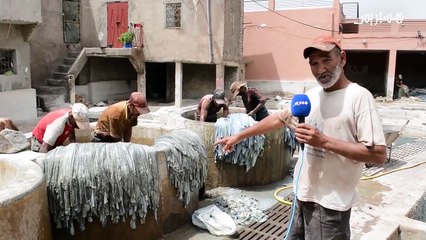 خطوة خطوة.. هذه مراحل تحويل الهيضورة إلى جلد ممتاز