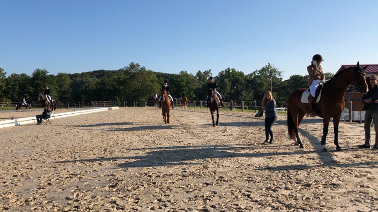 Concours de dressage