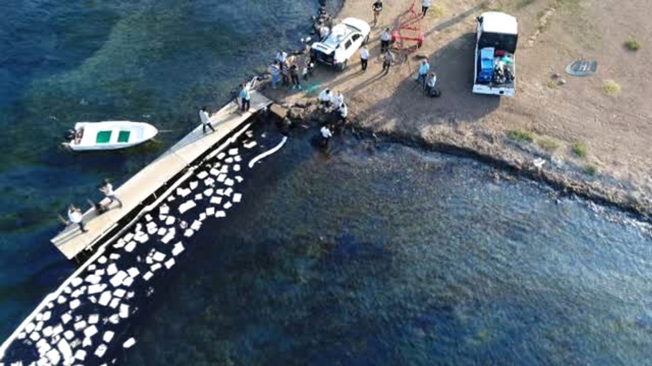 Foça'daki Çevre Felaketinde Temizlik Çalışmaları Devam Ediyor