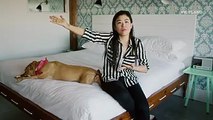 Nancy Whang remembers the time LCD Soundsystem lost all their shit before opening for a live sex show.PARTY LEGENDS, 10:30pm Thursdays.
