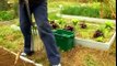 Essential Gardening Tools For Beginners:The Complete List