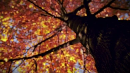 ابدأ يومك مع "صباح الخير يا عرب".. من الأحد إلى الخميس على MBC1