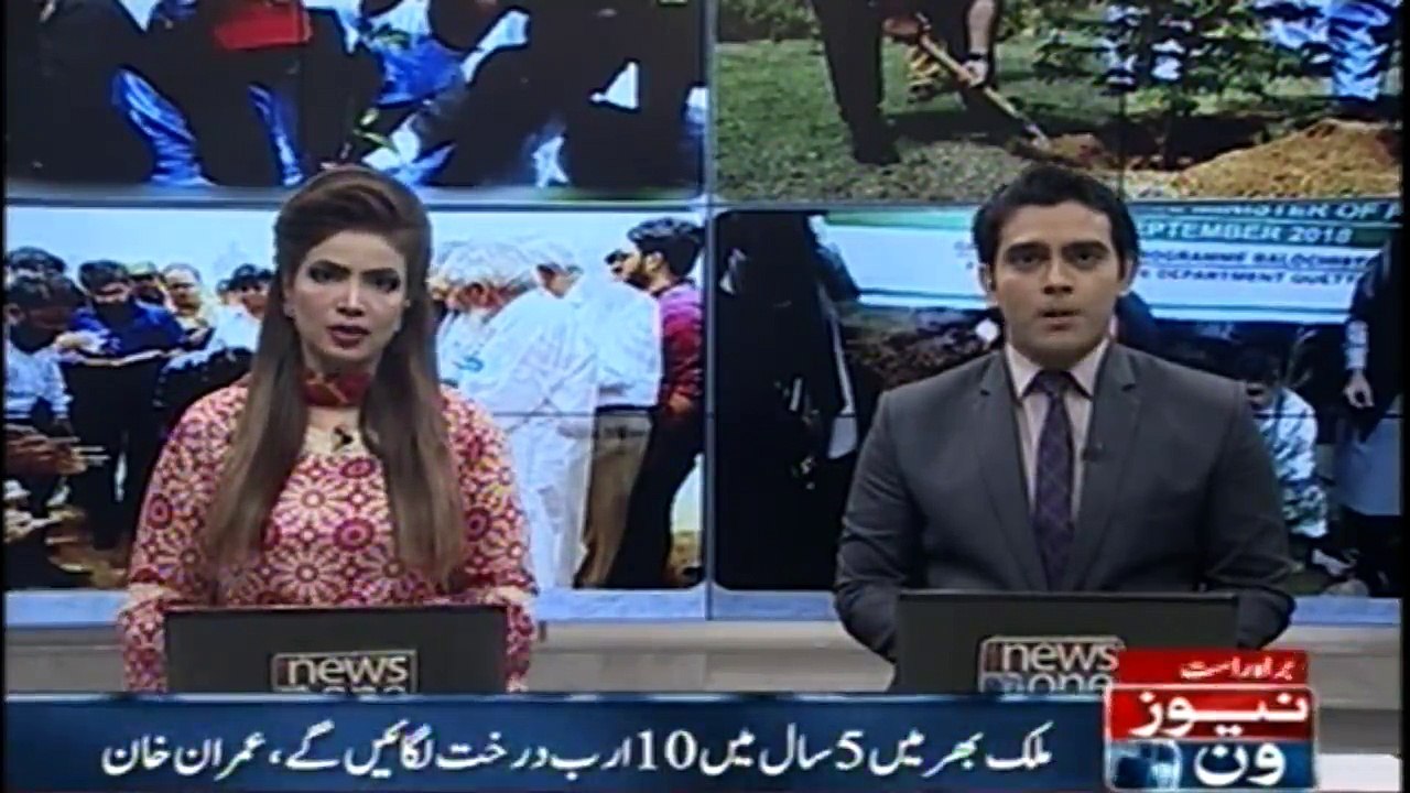 10 billion trees will planted all over the country in 5 years, PM Imran Khan