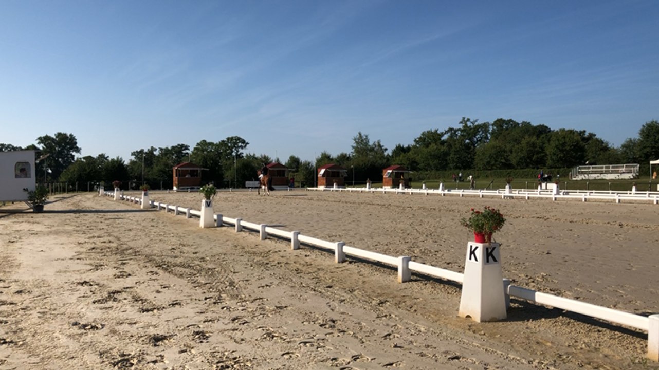 Concours de dressage, épreuve amateur