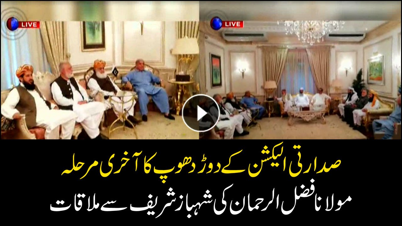 Fazlur Rehman meets Shahbaz Sharif in the last bid for presidency