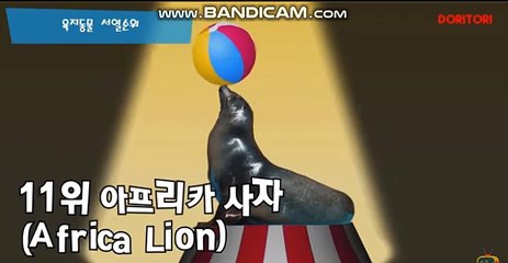 토토솔루션,토토제작,토토창업,자동마감토토솔루션,사설토토토토솔루션,토토제작,토토창업,자동마감토토솔루션,사설토토