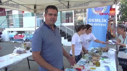 Yalova Gemlik Belediyesi, Yalova'da Vatandaşa Zeytin Dağıtarak Festivale Davet Etti
