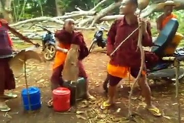 Monks dancing and making a concert in the forest