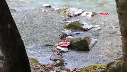 Mersin Doğa Harikasını Çöplüğe Çevirdiler Hd