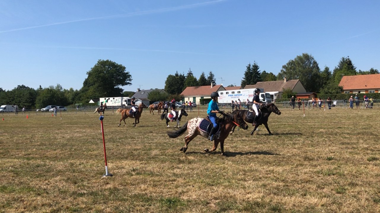 La fête du cheval et du taureau à Savigné-l’Évêque