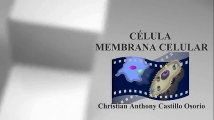 CÉLULA - MENBRANA CELULA  - DOCUMENTAL COMPLETO