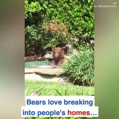 The most unBEARable guests!  