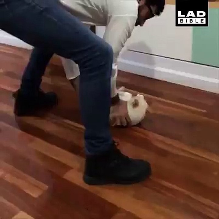 'Again, AGAIN!' Credit:  imenapesce