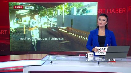 12 Koçunu Dolandırıcılara Kaptırdı