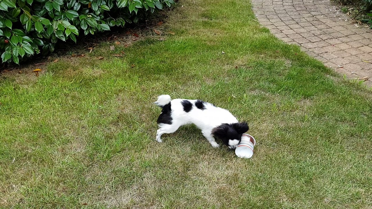 Petit nouage joue au jardin suite