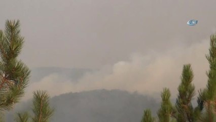 Tavşanlı'daki Orman Yangınını Söndürme Çalışmaları Sürüyor