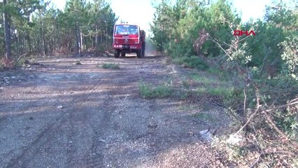 Kütahya'da Orman Yangını