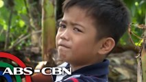 Rated K: Know more about the cute 
