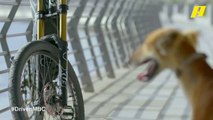 دريفن: شباب في دبي يبتكرون دراجة هوائية كهربائية.. شاهد قدراتها المذهلة