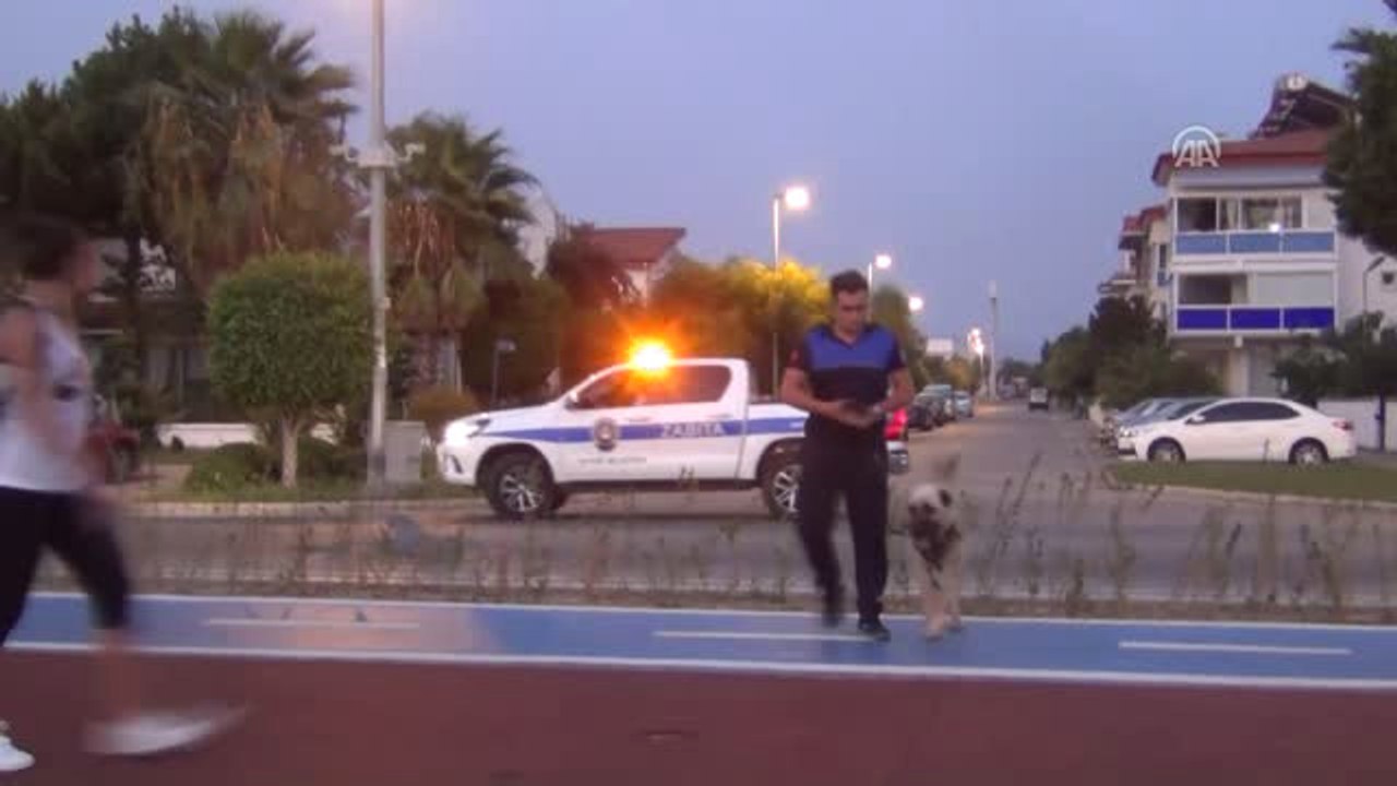 Otomobilin Arkasında Sürüklenen Köpeğe Belediye Sahip Çıktı