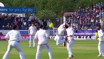 Unexpected Catches  Top 10 Best Accidental Catches in Cricket History