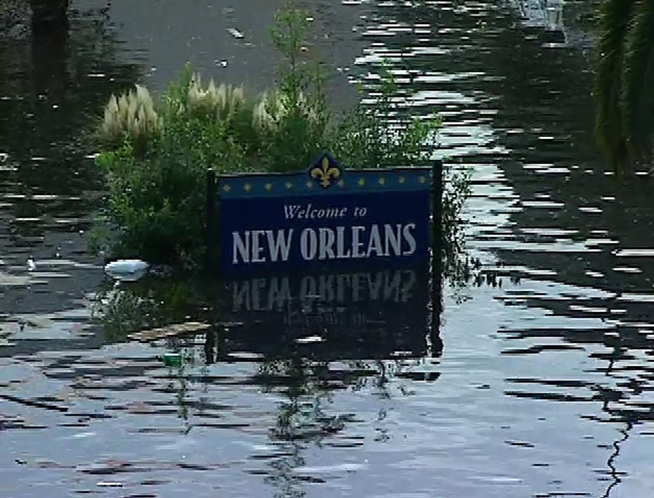 Surviving Urban Disasters