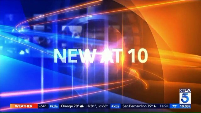 Man Arrested After Allegedly Pouring `Large Amount` of Urine Over Neighbor`s SUV