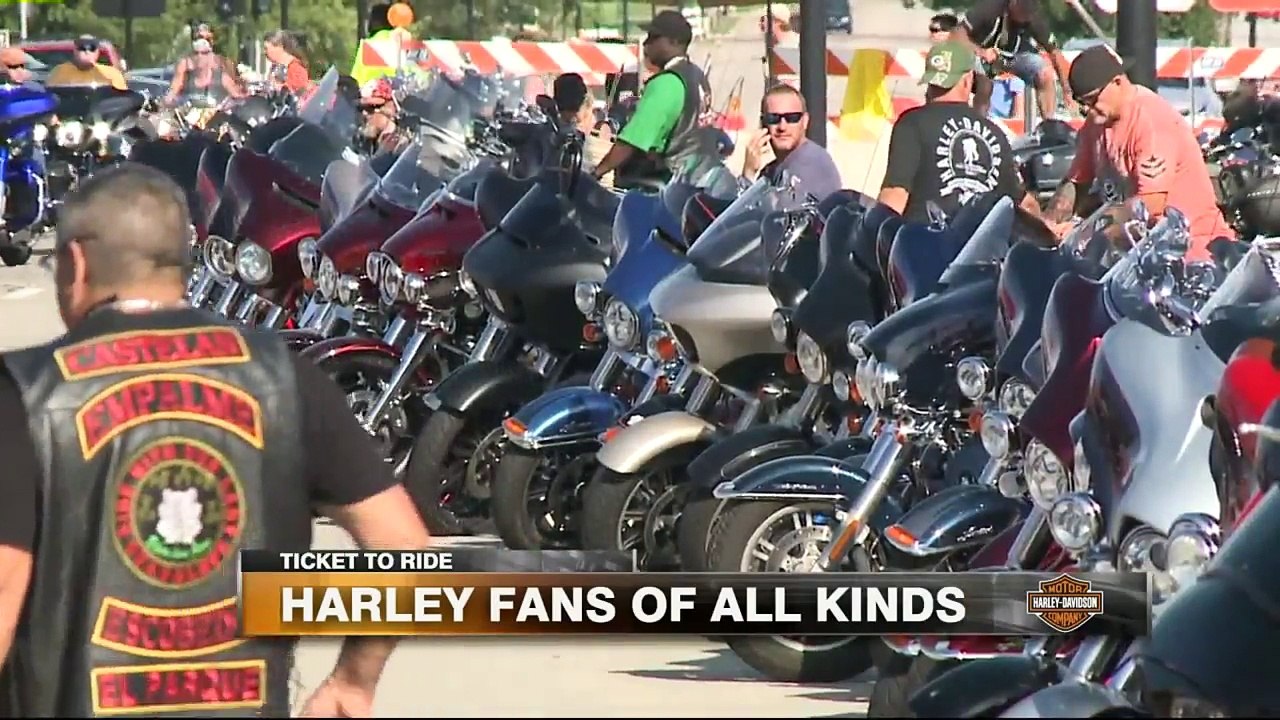 Harley-Davidson Dogs Ride in Style with Their Owners at Parade