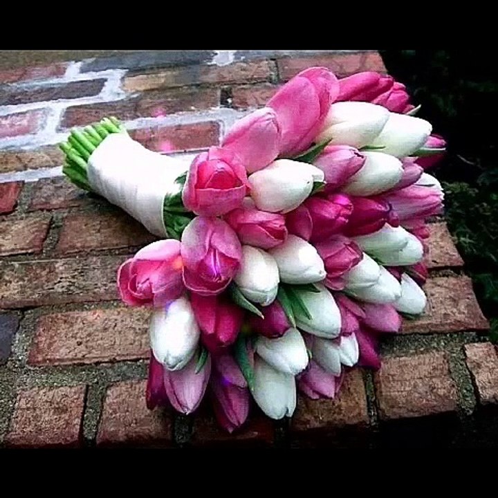 Lovely good morning