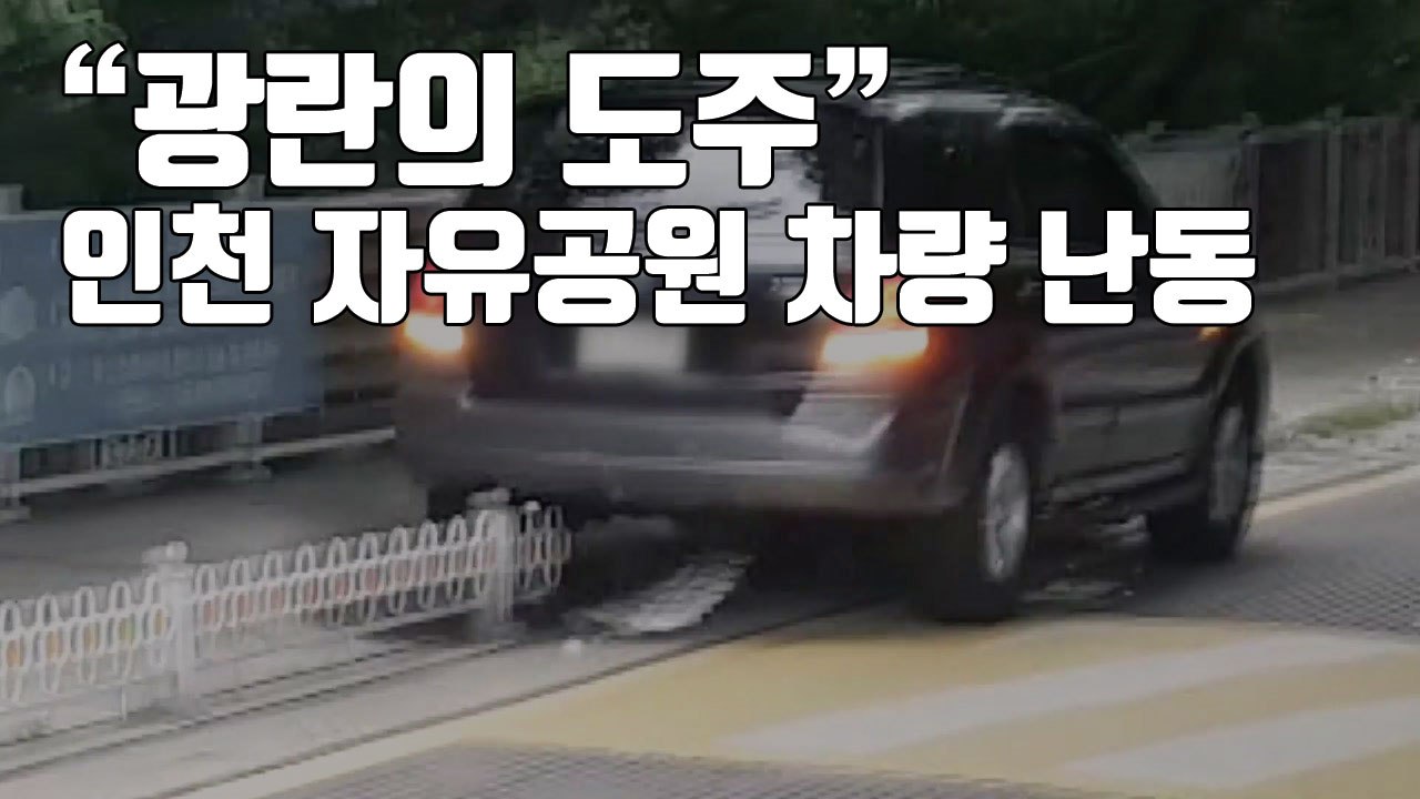 [자막뉴스] "광란의 도주"...인천 자유공원 차량 난동 / YTN