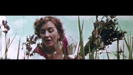 The World At War 1973 S01E21 - Nemesis Germany (2 & 5-1945)